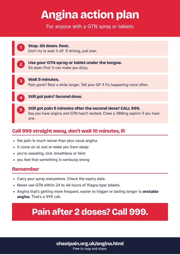 Preview of the angina action plan